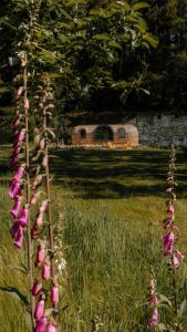a train is in a field with pink flowers at Enniskeen Estate & Forest Spa - Boutique Riverside Glamping Cabins in Newcastle
