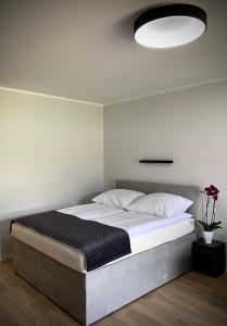sypialnia z dużym łóżkiem z dużym światłem powyżej w obiekcie APARTAMENT SARBINOWO Z OGRÓDKIEM w Sarbinowie