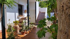 Vonkajšia záhrada v ubytovaní Hostal Casa Arco Iris (Playa)