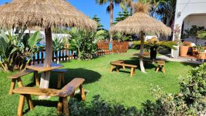 Vonkajšia záhrada v ubytovaní Hostal Casa Arco Iris (Playa)
