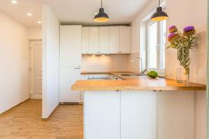 Kuchyň nebo kuchyňský kout v ubytování Adris apartments