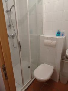 biała łazienka z prysznicem i toaletą w obiekcie Chalet La Ruche w mieście Saint-Sorlin-dʼArves