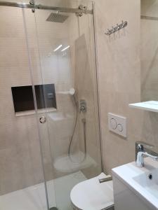e bagno con doccia, servizi igienici e lavandino. di Mia & Ante Apartman a Tučepi