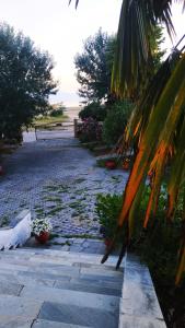 a stone walkway with a palm tree in a yard at Filoxenia in Nea Irakleia