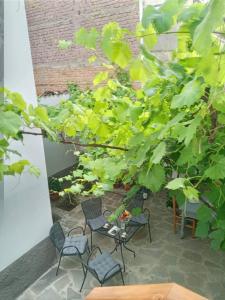 un patio avec des chaises, une table et des plantes dans l'établissement Green Housee, à Korçë