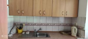 uma cozinha com um lavatório e armários de madeira em Mini domek jednopokojowy em Suwałki