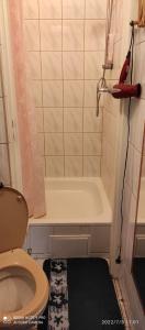 a small bathroom with a toilet and a bath tub at Mini domek jednopokojowy in Suwałki