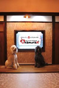 dos perros sentados frente a un cartel en la pared en ドッグラン併設 しまなみ御殿, en Imabari