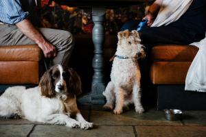 Galeriebild der Unterkunft The Joiners Arms in Chathill