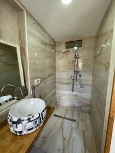 Diamond Luxury Apartment - Haifa tesisinde bir banyo