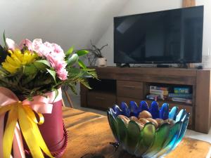 Televízia a/alebo spoločenská miestnosť v ubytovaní Brzoza i Świerk z widokiem na góry