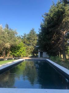 a swimming pool in a yard with trees at Ur La Maison in Urla