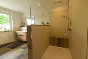 a bathroom with a shower with a glass door at Ferienwohnung Maar-Idyll in Schalkenmehren