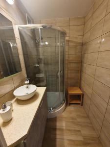 bagno con lavandino e doccia in vetro di Cozy Sunny Apartment a Gdynia