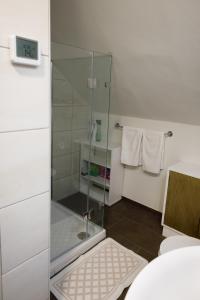 baño con ducha y puerta de cristal en Ländliches Ferienhaus, en Kötschach-Mauthen