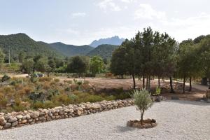 um jardim com uma parede de pedra e uma árvore em Domaine U Filanciu, Maison Ghjulia avec piscine - Centre Corse em Moltifao