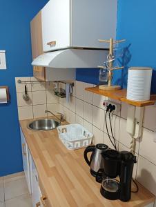 a kitchen with a sink and a counter top at Amelie's Apartments in Mesolongion
