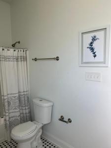 a bathroom with a toilet and a shower curtain at New Orleans Home Sweet Home in New Orleans +21 photos