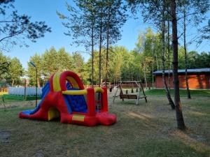 un parque infantil con tobogán en Domki Wrzosowe Wzgórza Nr1, en Horyniec