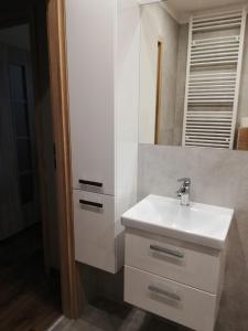a bathroom with a white sink and a mirror at Apartament Shadow in Białystok