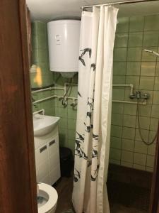 Vannituba majutusasutuses Obala Srebrno Jezero