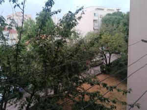 a view of a garden with trees and a building at Apartment Karla in Split