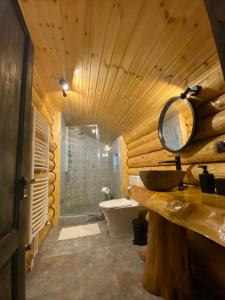 a wooden bathroom with a sink and a mirror at Bellevue Chalet in Râşnov +58 photos
