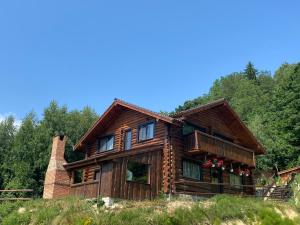 a log cabin on a hill with trees at Bellevue Chalet in Râşnov