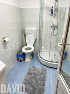 a bathroom with a shower and a toilet and a sink at Casa David in Braşov