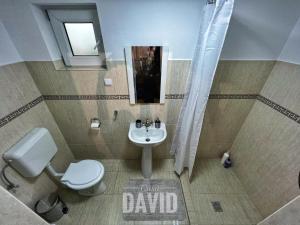 a bathroom with a toilet and a sink at Casa David in Braşov +7 photos