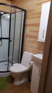 een badkamer met een toilet, een douche en een wastafel bij Mikmari in Tūja