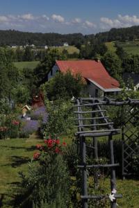 Przyroda w pobliżu tego gospodarstwa agroturystycznego