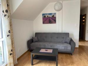 Baltic Trio Apartaments - Rusinowo في ريوزينو: غرفة معيشة مع أريكة وطاولة