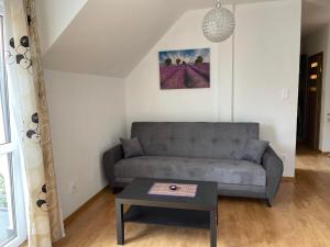 ein Wohnzimmer mit einem Sofa und einem Tisch in der Unterkunft Baltic Trio Apartaments - Rusinowo in Rusinowo