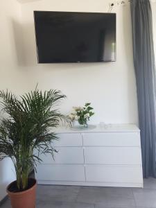 a tv on a wall above a dresser with two plants at Ferienwohnung Andrejcic in Feistritz im Rosental