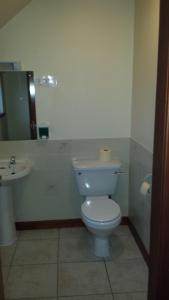 a bathroom with a white toilet and a sink at Station Hotel in Hopeman