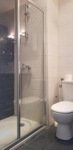 a bathroom with a toilet and a glass shower at Vanja’s place in Dušanovac (historical)