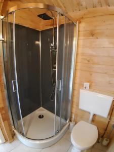 een douche in een houten badkamer met een toilet bij reiger in Appelscha