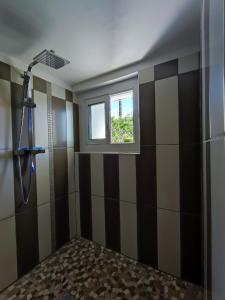 a bathroom with a shower and a window at Appartement Abadie in Bagnères-de-Bigorre