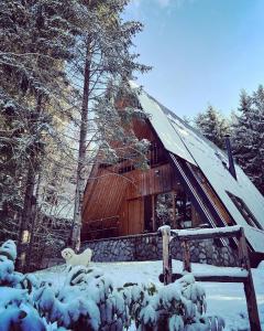 Forest House Stella - A frame cabin v zimě