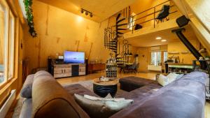 salon z kanapą i telewizorem w obiekcie Forest House Stella - A frame cabin w mieście Mrkopalj