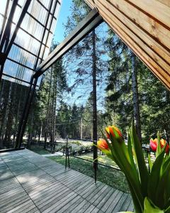 Zahrada ubytování Forest House Stella - A frame cabin