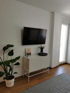 A television and/or entertainment centre at Apartman Dora