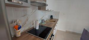 Kuchyň nebo kuchyňský kout v ubytování Apartment Grubišić