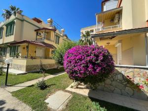 a bush of purple flowers in front of a building at ViLLA CLUB KONAK 10 in Alanya