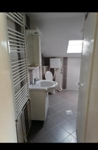 Privatni smestaj - Rooms في Dobrosin: حمام صغير مع حوض ومرحاض