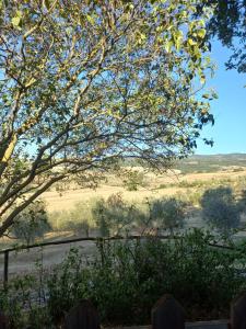 Foto dalla galleria di Agriturismo Podere Cherzo a Cinigiano