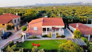 Príroda v okolí of the country house