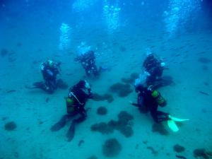 a group of people swimming in the ocean at Hotel Palace Vrkljan in Karlobag