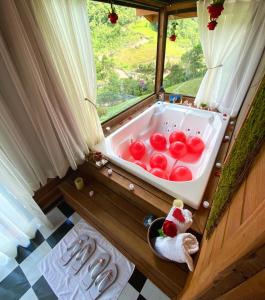 a bath tub filled with red tomatoes in a window at Cabana Amor Perfeito in Alfredo Wagner